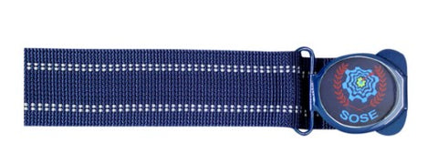 Dr BR Ambedkar SOSE Belt